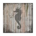Trademark Fine Art Lightboxjournal 'Country Seahorse' Canvas Art, 18x18 ALI23609-C1818GG